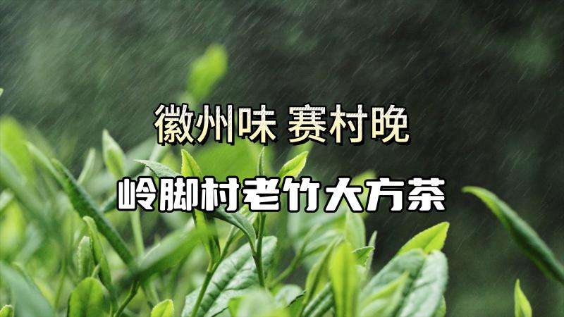 竹岭村老竹大方茶    