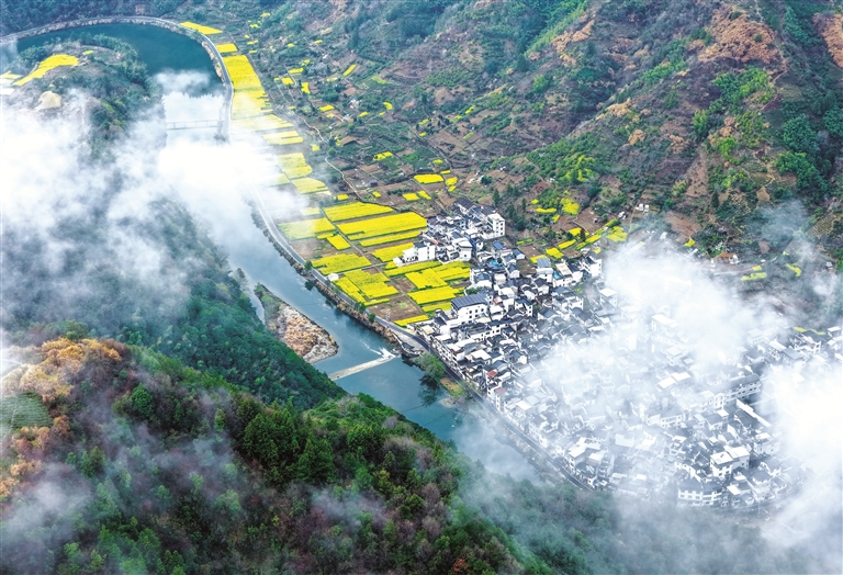 云上坡山春色美