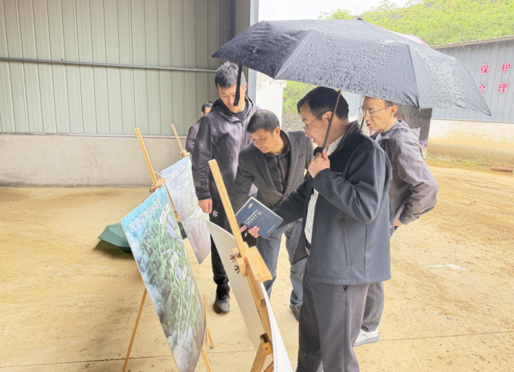 “百个专家服务团下基层”  赋能歙县特色产业高质量发展