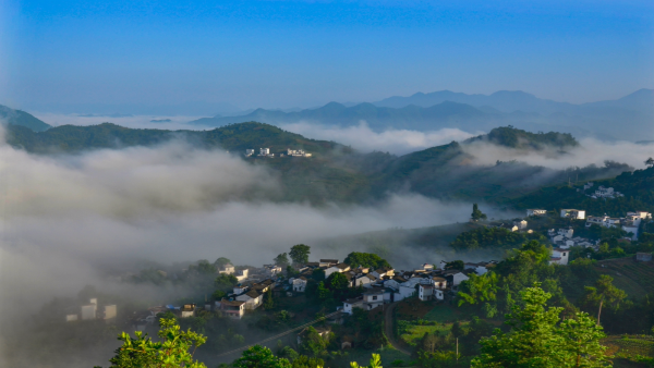 获奖作品赏析|村里那些事儿⑤豁然开朗