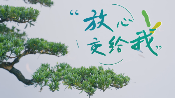 获奖作品赏析|村里那些事儿③放心交给我