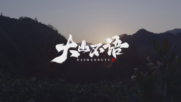 获奖作品赏析|《大山不语》