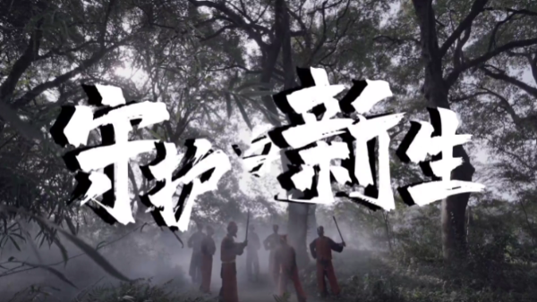 获奖作品赏析|《守护与新生》